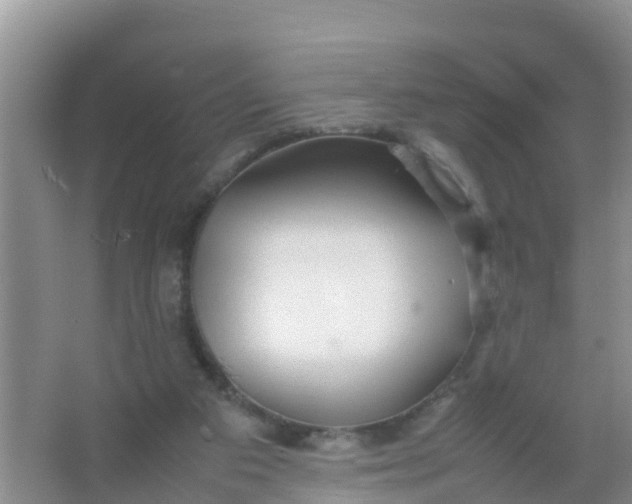 X0000066940113200604071922