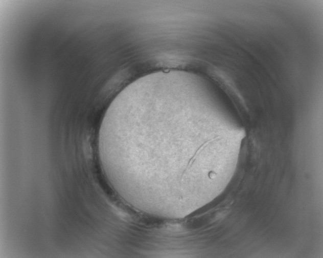 X0000066940114200604071922