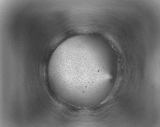 X0000066940115200604071922