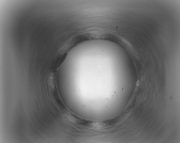 X0000066940121200604071922