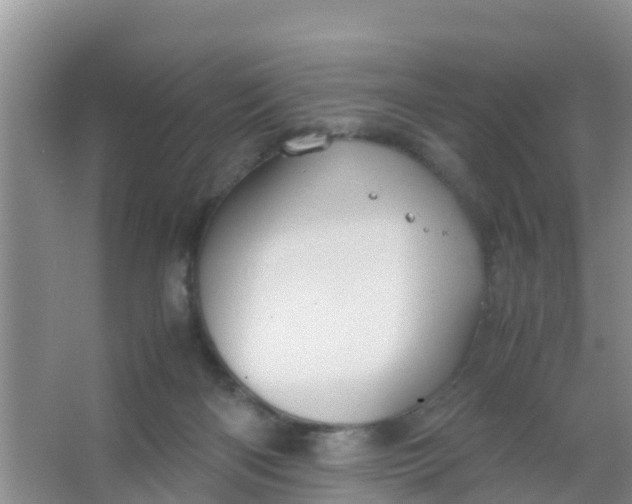 X0000066940122200604071922