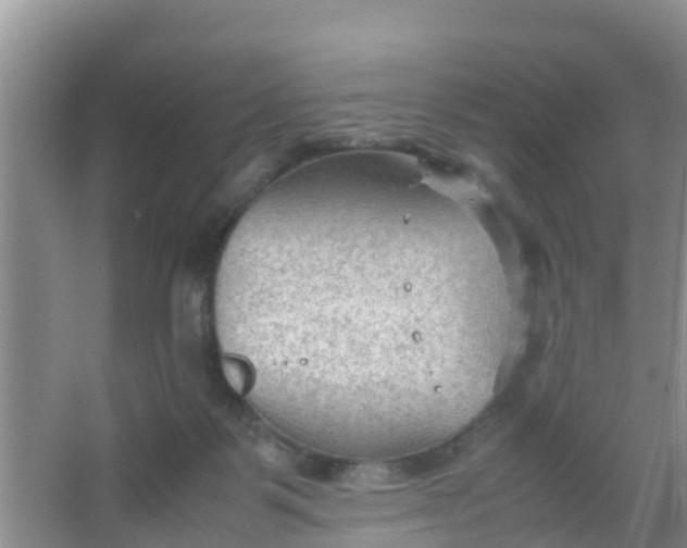 X0000066940123200604071922