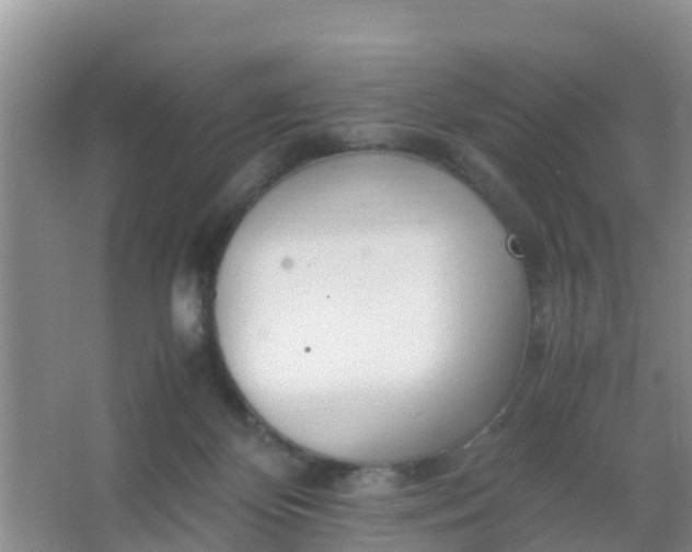 X0000066940124200604071922