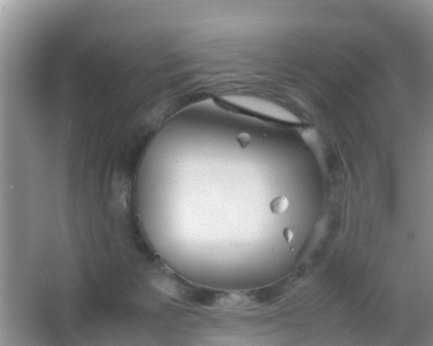 X0000066940125200604071922