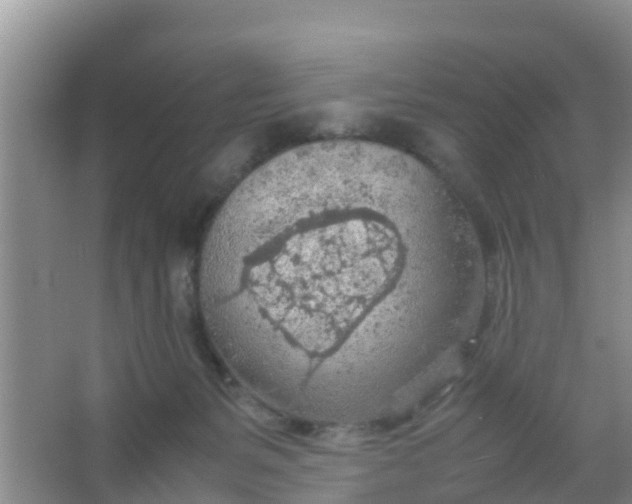 X0000066940127200604071922