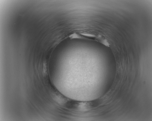 X0000066940130200604071922