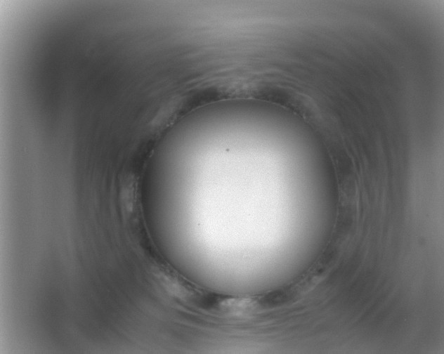 X0000066940133200604071922