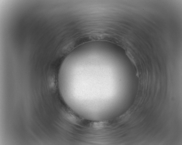 X0000066940134200604071922