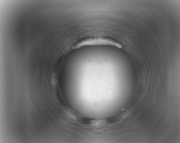 X0000066940135200604071922