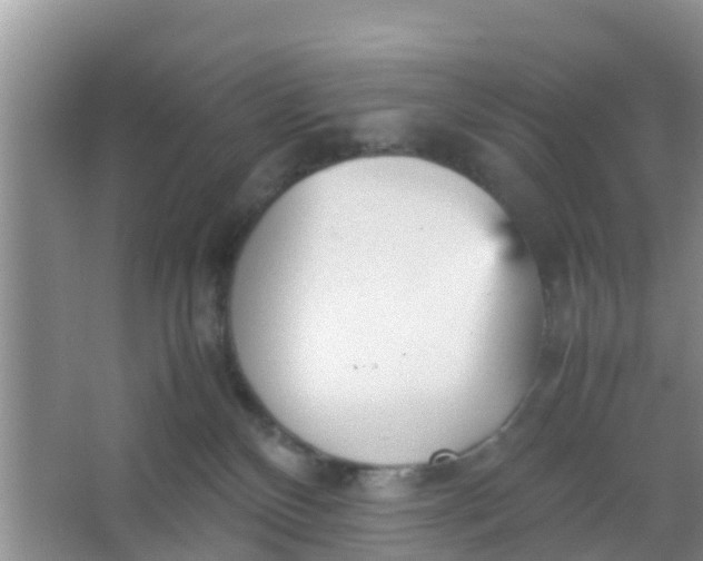 X0000066940136200604071922