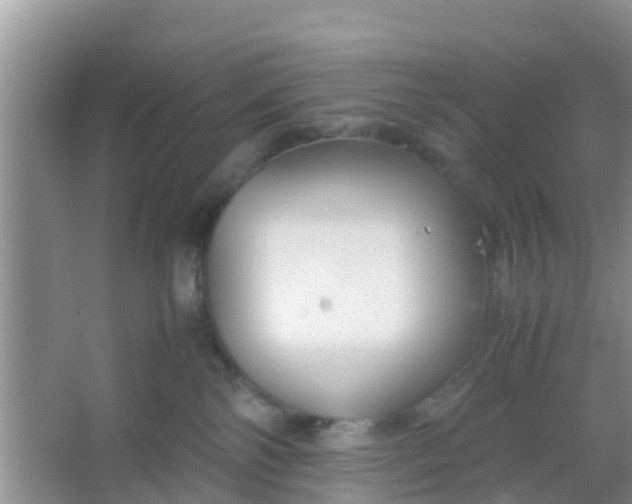 X0000066940138200604071922