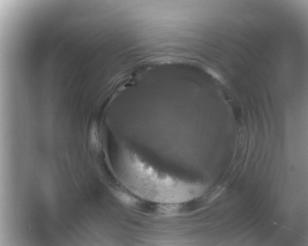 X0000066940143200604071922