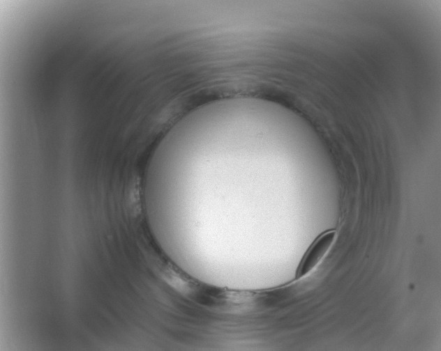 X0000066940144200604071922