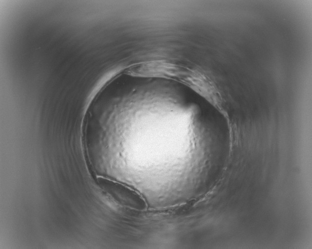 X0000066940147200604071921