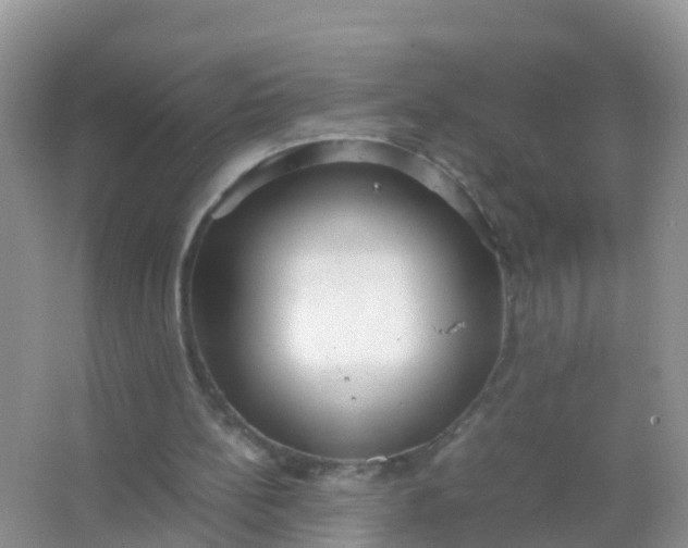 X0000066940148200604071921