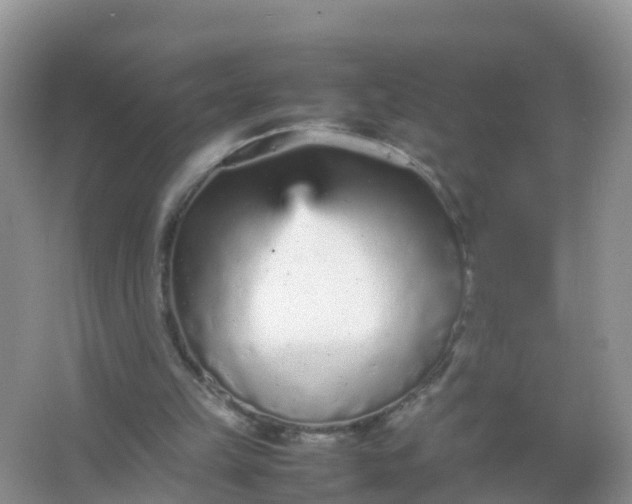 X0000066940149200604071921