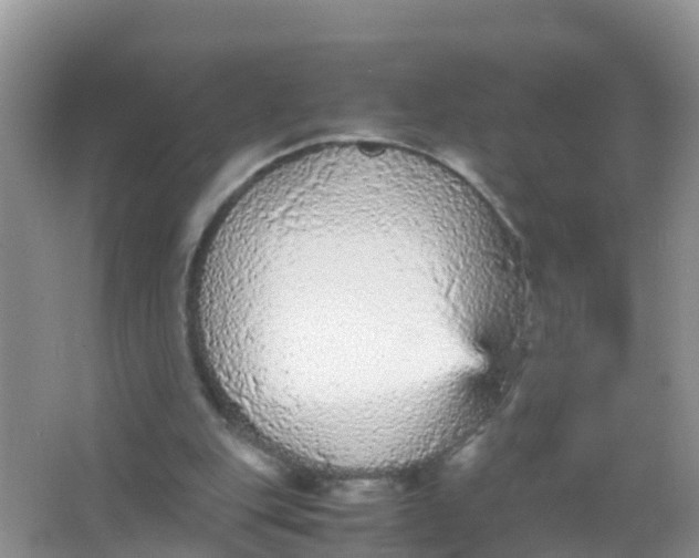 X0000066940151200604071921