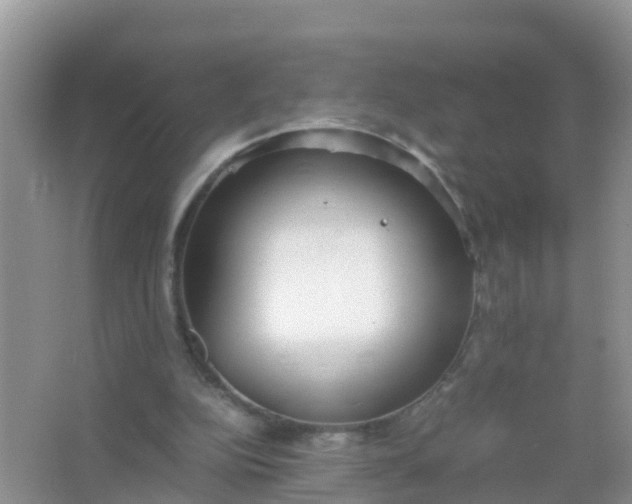 X0000066940152200604071921