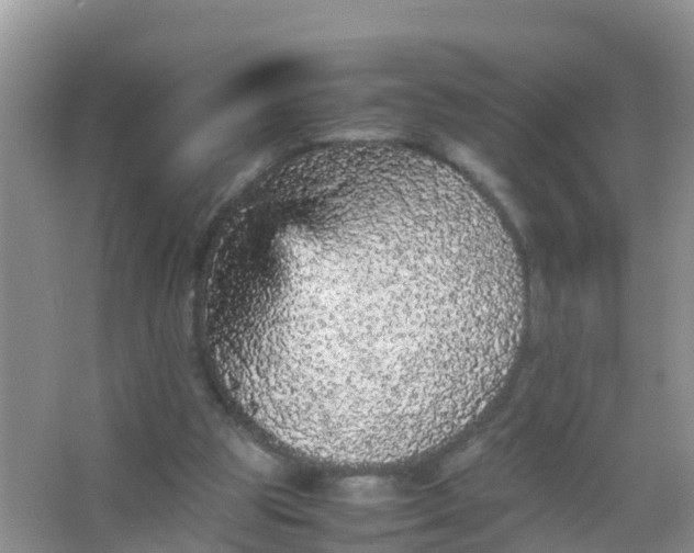 X0000066940153200604071921