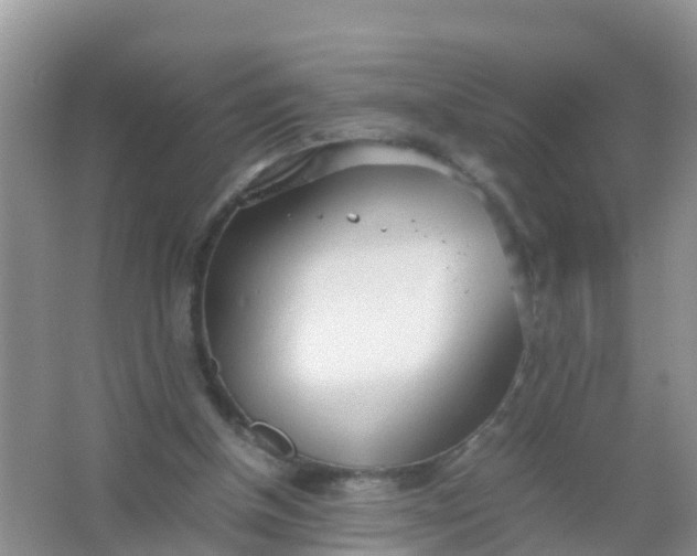 X0000066940154200604071921