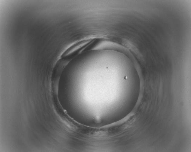 X0000066940156200604071921