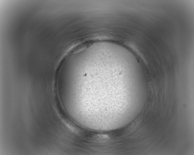 X0000066940159200604071921