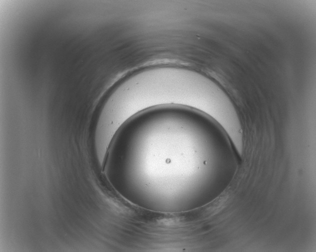 X0000066940160200604071921