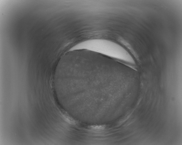 X0000066940161200604071921