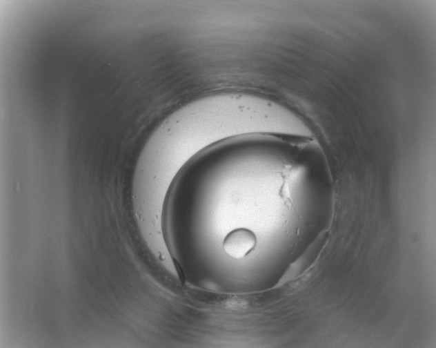 X0000066940162200604071921