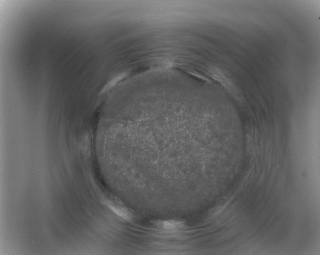 X0000066940165200604071921