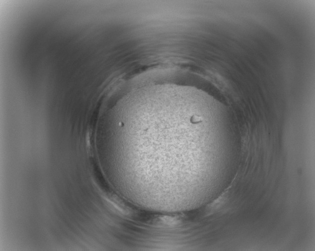 X0000066940166200604071921