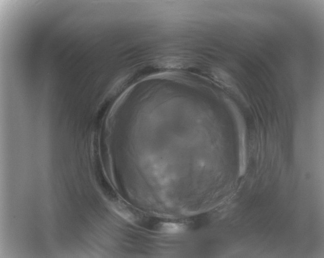 X0000066940167200604071921