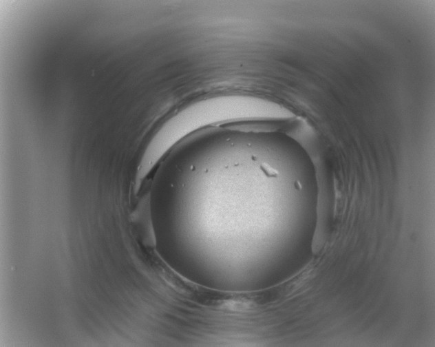 X0000066940168200604071921