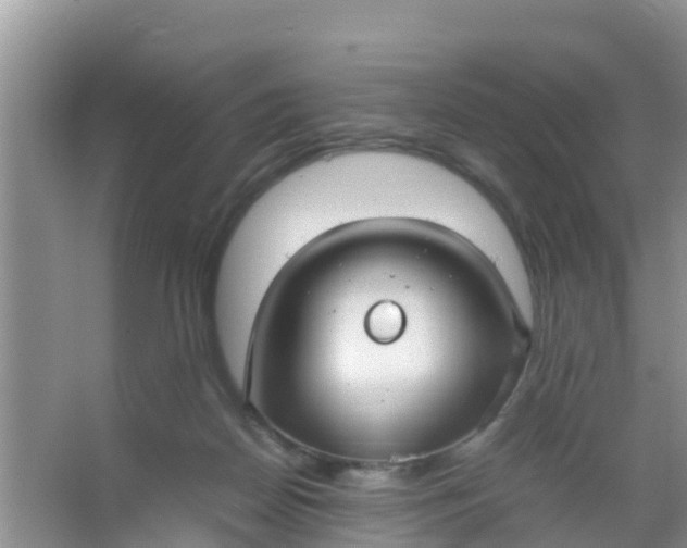 X0000066940170200604071921