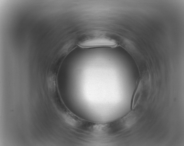 X0000066940172200604071922