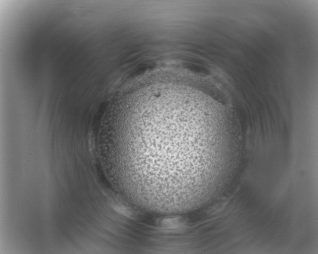 X0000066940173200604071922