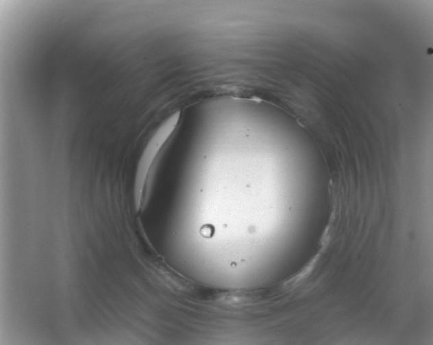 X0000066940174200604071922