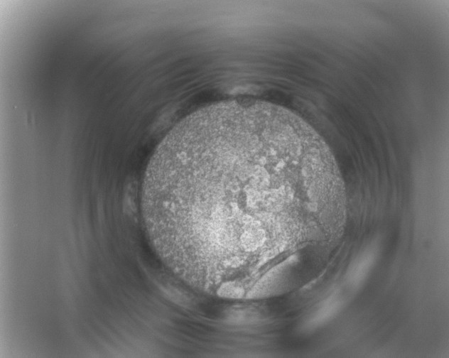 X0000066940175200604071922