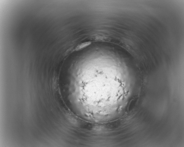 X0000066940177200604071922