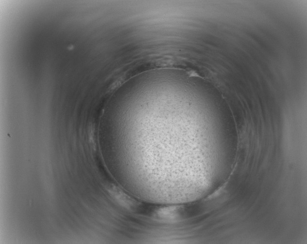 X0000066940178200604071922