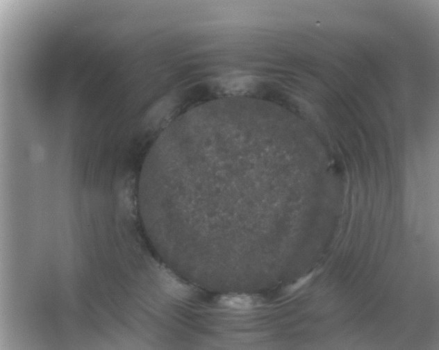 X0000066940181200604071922