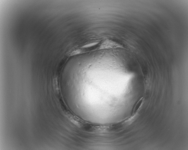 X0000066940182200604071922