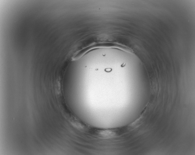 X0000066940183200604071922