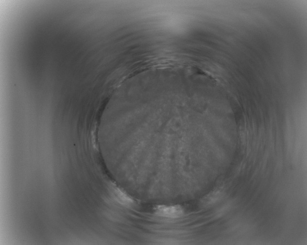 X0000066940185200604071922