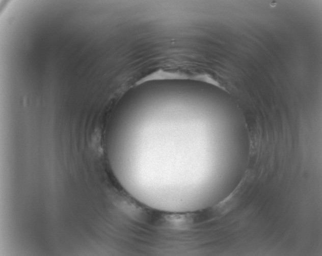 X0000066940187200604071922