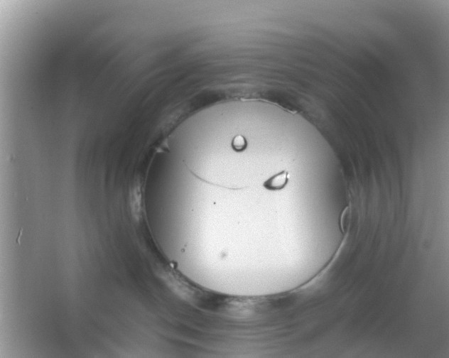 X0000066940190200604071922