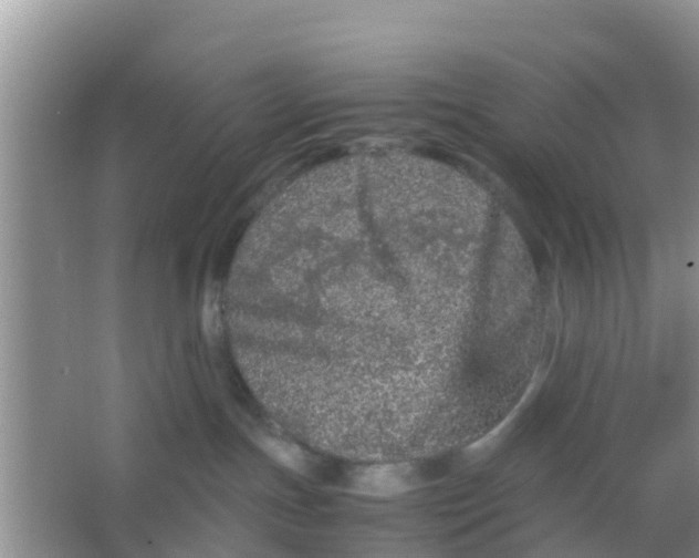 X0000066940191200604071922