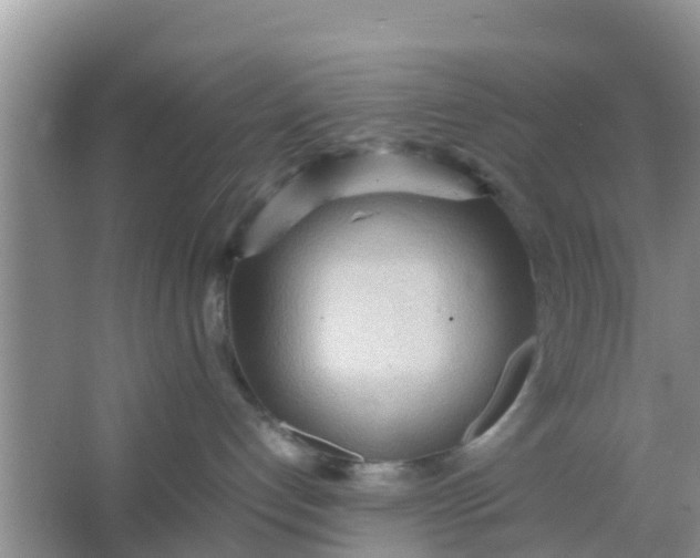 X0000066940192200604071922