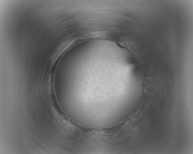 X0000066940194200604071921