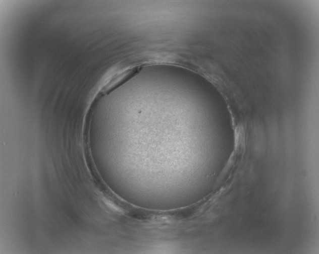 X0000066940195200604071921